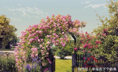  「快乐」篱笆小院住在乡村的快乐，你想体验吗！