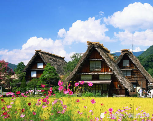 不会英语的人都可以去！去这几个国家旅游，讲中文就可以！