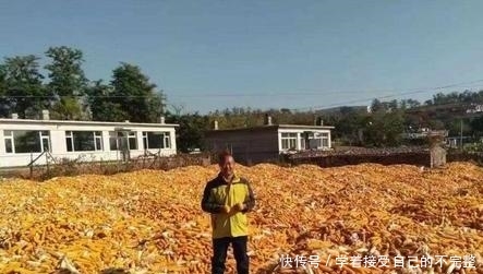  【调整】农村粮补政策有所调整，这4类人不能再领，农民别因小失