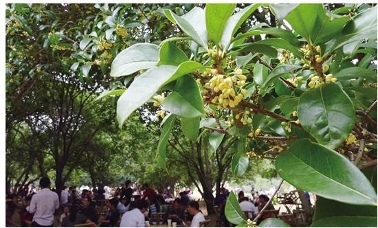 乡村振兴开新局 改革创新结硕果