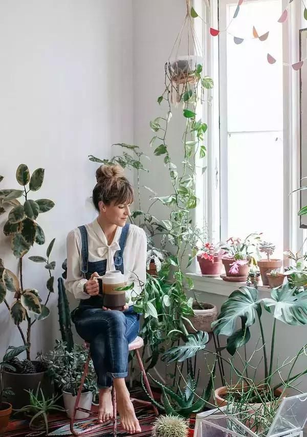  【自带】自带镇宅安家的30种大植物，满满都是安全感