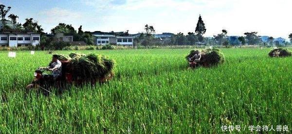 农民好消息！这4项补贴，将直接发到卡上，1分钱都不会少！