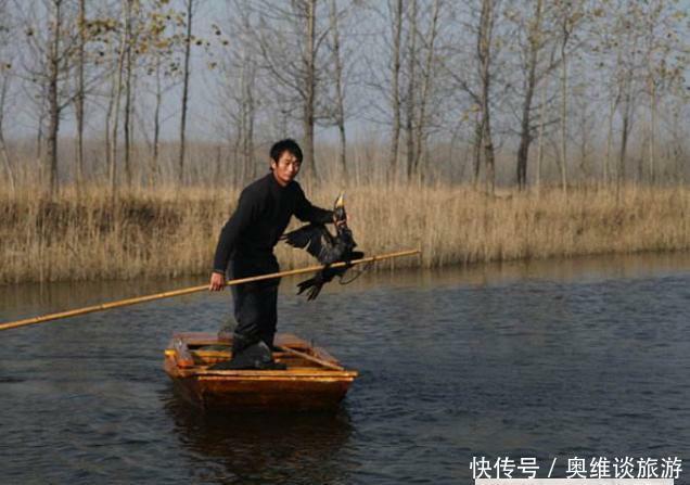  #道理#为什么黄河泥沙那么多，鱼还又大又肥？网友一句话阐明道