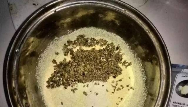  [江河]钓草，鲤鱼的秘制药酒蚕蛹饵，江河湖库亦有神效！