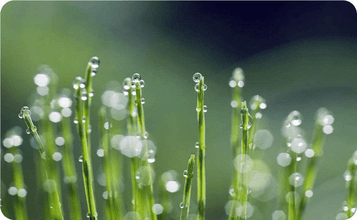  等级@@山东人，清明天气早知道 ，森林火险等级高