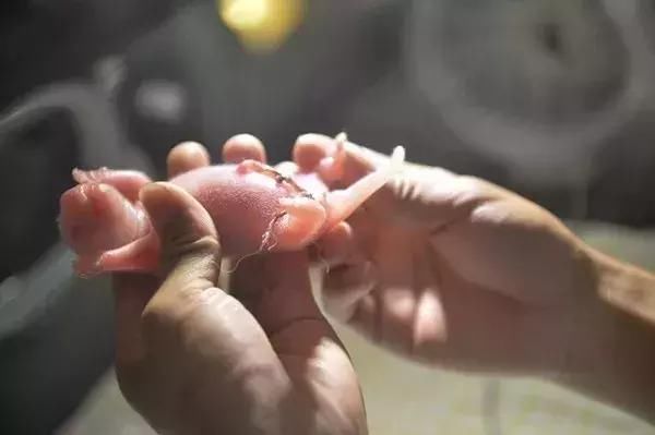 骗局又双叒翻新!女孩接“快递”电话后，支付宝的7万突然消失了