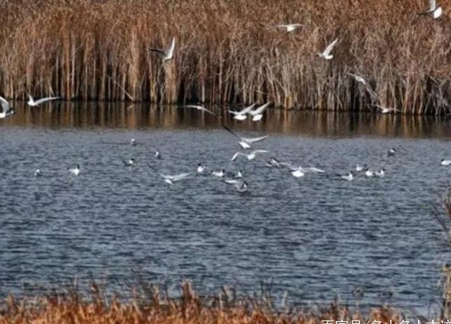 我国挖出亚洲最大的沙漠水库，蓄水量相当于10个西湖，却饱受争议
