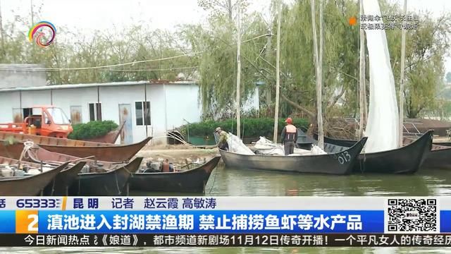  [鱼虾]滇池进入封湖禁渔期，禁止捕捞鱼虾等水产品