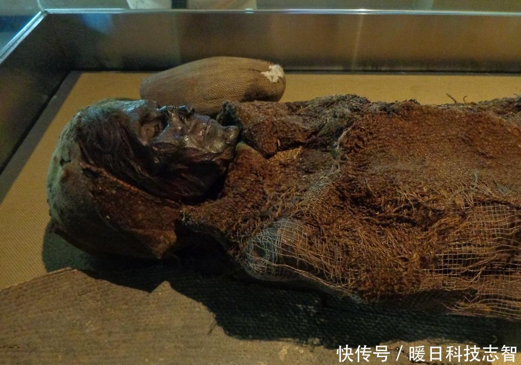  美女■此人是彭加木同事，发现楼兰美女肺中有异物，找到罗布泊