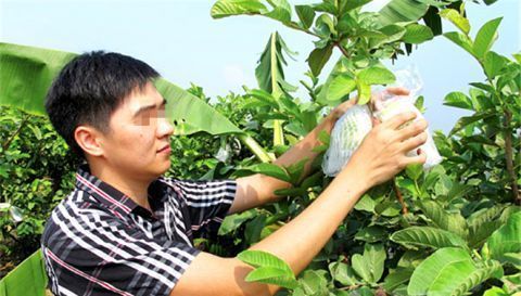  留在@未来几年农村这几类人，留在村里将有一番作为，看看里面有