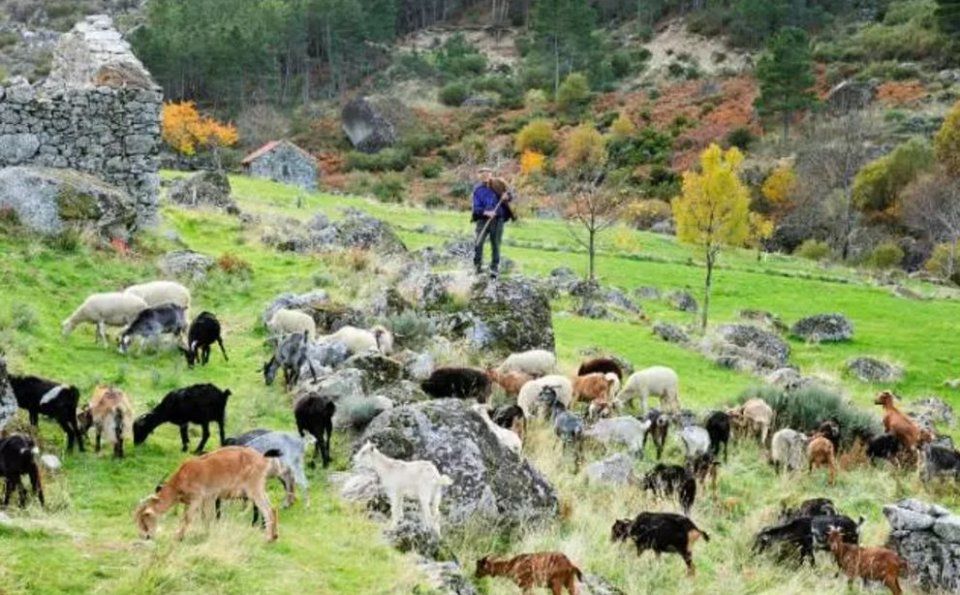 江疏影白到发光的“灯泡皮”怎么养成的?原来全靠这个神器...