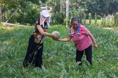农村奶奶年年种西瓜，吃不完赌气不卖，孙子做法成普遍问题