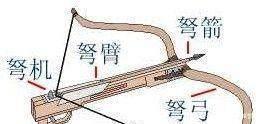  『国家』战国后期各国综合实力大排名