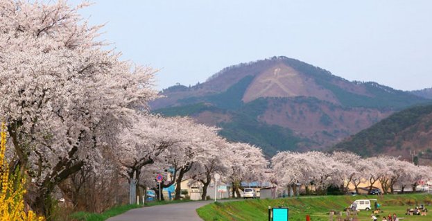  【日本朋友】为何说日本“农村人”都不是穷人？看日本农村，你