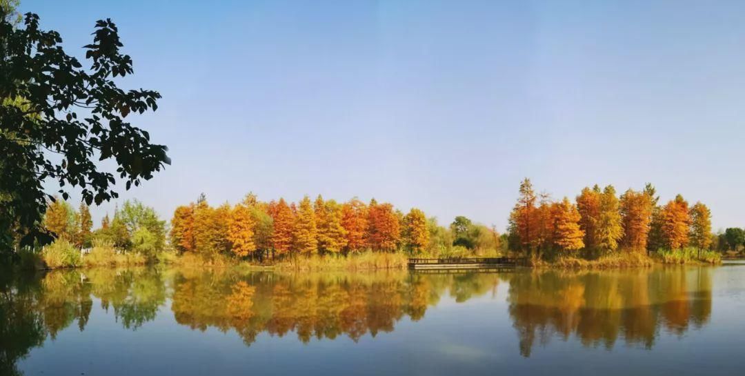 无锡高新区赏叶地图,这里藏着你不知道的最美秋色
