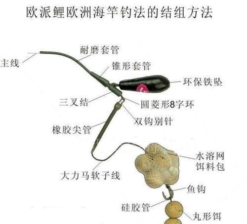  『英文』在欧洲钓鲤鱼是一项非常高大上的运动，一套装备要几干欧