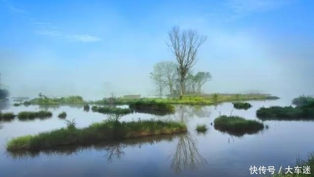  大九湖：疫情后湖北景点：大九湖，鹤峰屏山峡谷，神农溪，天鹅洲麋鹿