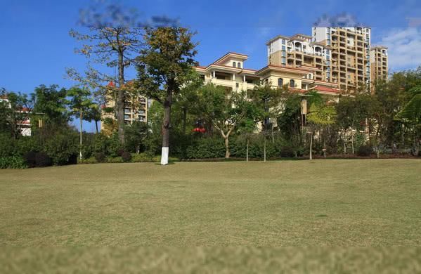  「上榜」中国最热的四个城市，武汉光荣上榜，非洲人来了都觉得