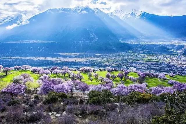 3月最值得去的国内旅行地，有2个很多人没听说过，却有绝美花海！
