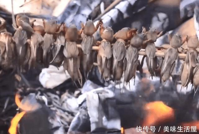  稻田@稻田里常见的害虫，农民都讨厌它，进城后却成餐桌上的“土