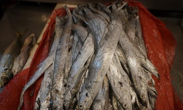 自驾走过广西广东海南，来到福建霞浦三沙，带你看看渔村海鲜价格