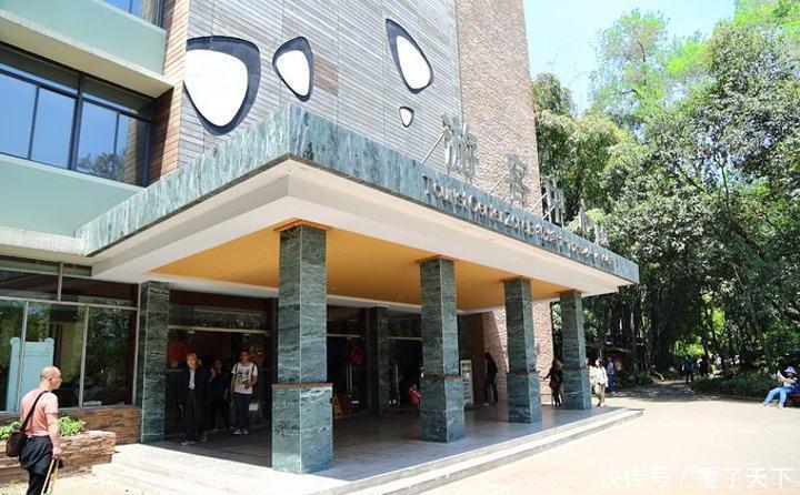 这个熊猫馆“很有毒”，孔雀满地跑，关键的熊猫不好找！