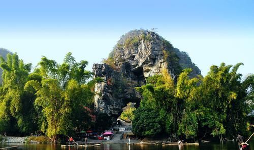 盘点国内“名气最大”的树:一棵树是一个景区?游客赏树需预约!