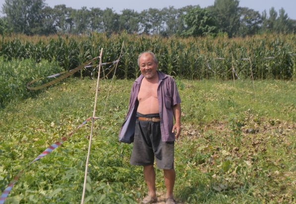  [品种]农村老大爷种植一种甜瓜，品种稀罕濒临灭绝，老人们最喜