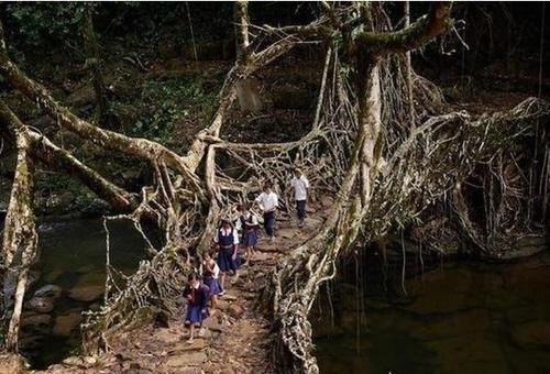 这座桥完全是大自然建造的 坚固没管竟比人类还巧手 快资讯