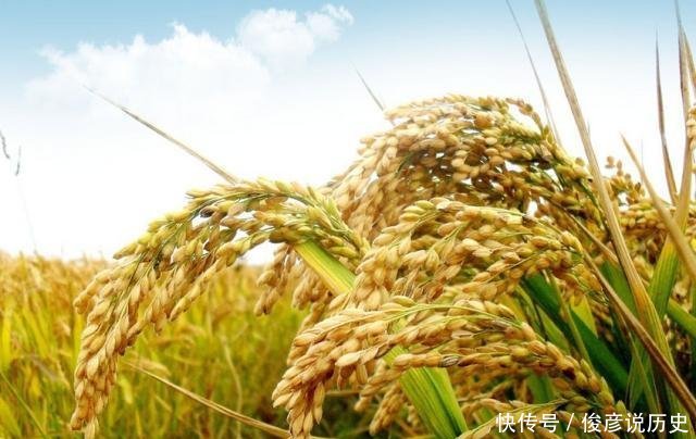  「越南」越南人口近亿，国土却仅有中国的三十分之一，为何还有