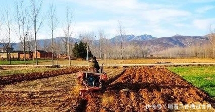  【老虎机】2020年农村这3样东西禁止了，抓到一个罚款3万，你有