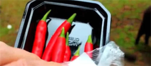 猴子贪吃见游客食物就抢，没想到抢到了辣椒，表情亮了