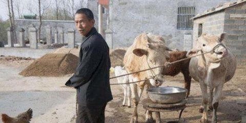  病态：农村出现“新病态”，“伪寡妇、留守男”越来越多，为什