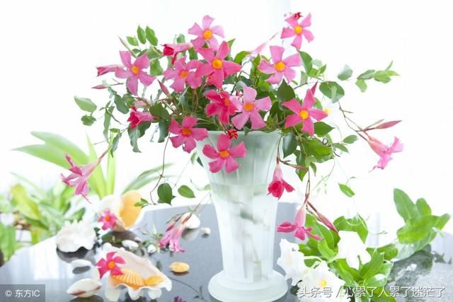 人生感悟:人生就是对对错错,回头看来,对错已经