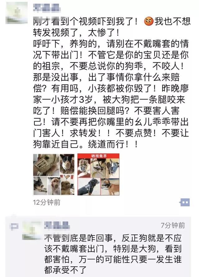 这两条刷屏的“新闻”其实是谣言！这锅狗狗坚决不背！