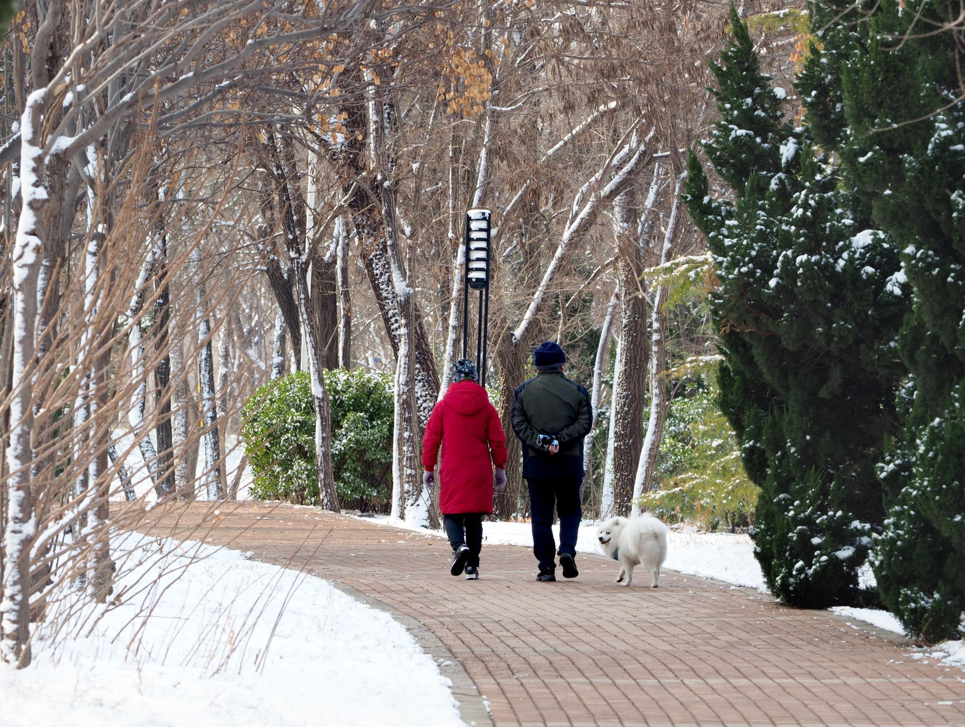  力量■战“疫”之城！力量之城！瑞雪里，大美德州
