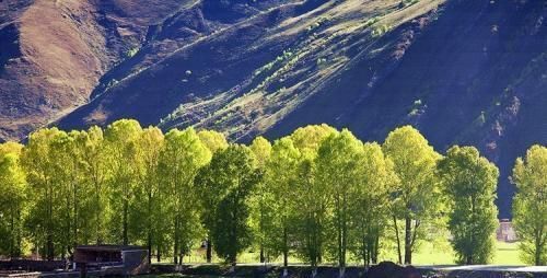 全中国自驾旅游