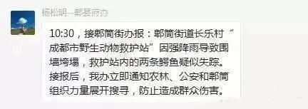 辟谣雷电高空劈人、镇水神兽掌控降雨……暴雨中的这些谣言别再转
