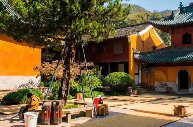 中国“零差评”5A景区，不收门票斋饭2元，住上一晚仅需25元