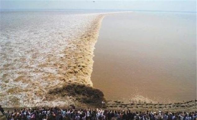 大海退潮的时候, 海水都去哪里了? 看完解开多年“疑惑”