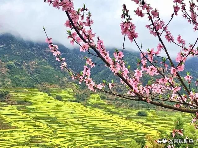 3月最佳旅行地榜单:十大绝美仙境，春暖花开美到窒息!