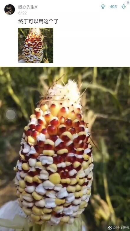 刚刚，杭州破40°C！地面破60°C！但是，好消息马上来了...