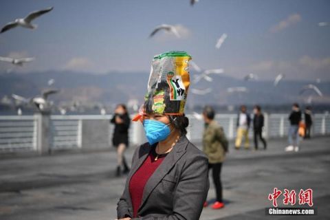  开放■昆明海埂大坝恢复开放 吸引市民喂鸥观景