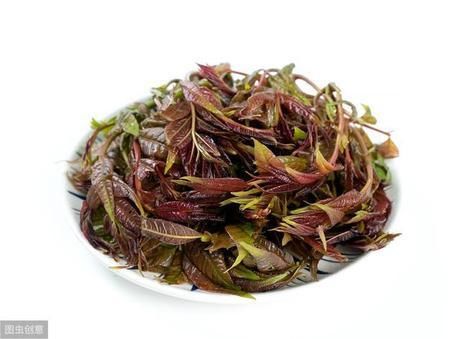  挑选■买香椿芽时，选紫香椿还是绿香椿？不会挑选的，学学种植户的方法