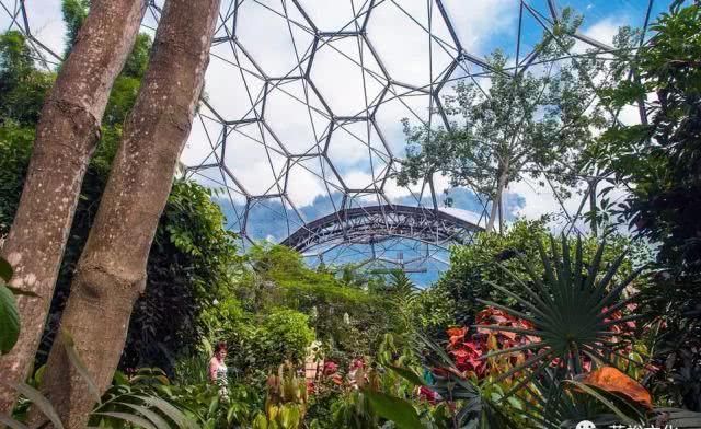 世界第八大奇迹：废矿变身伊甸园，年游客超两百万