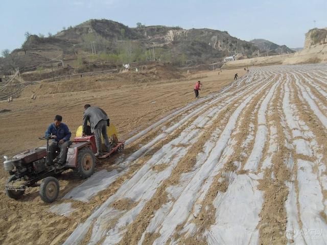 农村创业的朋友，这几个行当最好别碰，没什么“钱”景！