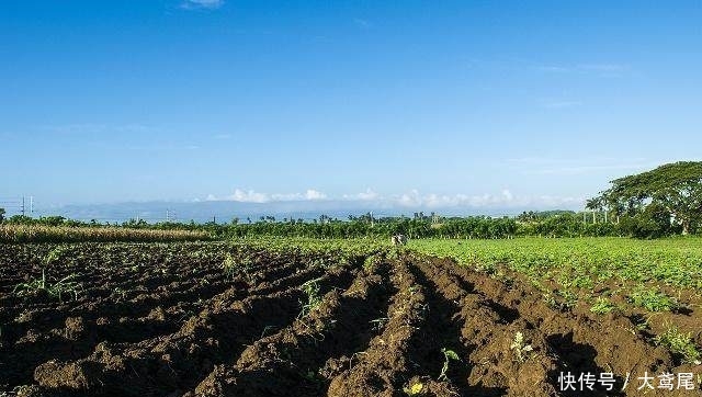 今年，这个证停止办理，没有拿到赶紧找村干部，不然损失几十万！