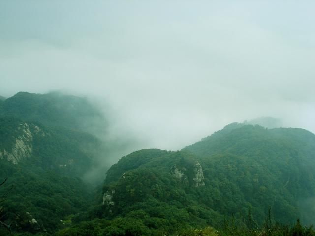 全国最良心的景点!不收门票就够skr了，到山顶还有人管吃管住?