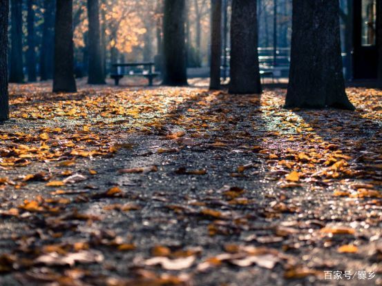  「时光」「诗词365」晏殊：渔家傲·画鼓声中昏又晓