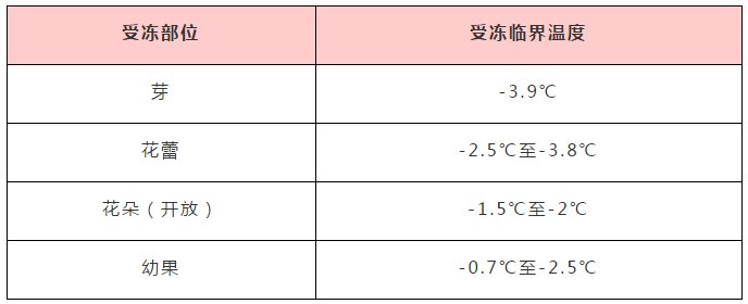 倒春寒真的来了！？赶紧防：寒潮降温、大到暴雪······